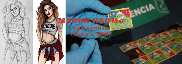 МДПВ Рославль