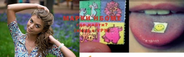 гидра Абаза