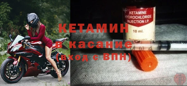 гидра Абаза