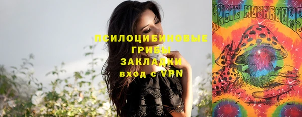 тгк Абдулино
