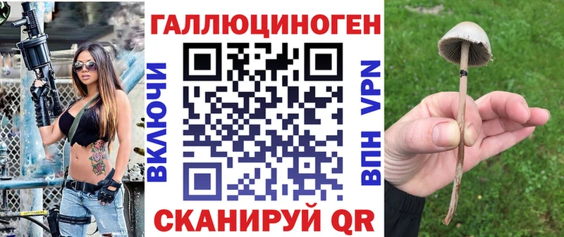 где купить наркоту  Инта  Галлюциногенные грибы Psilocybe 